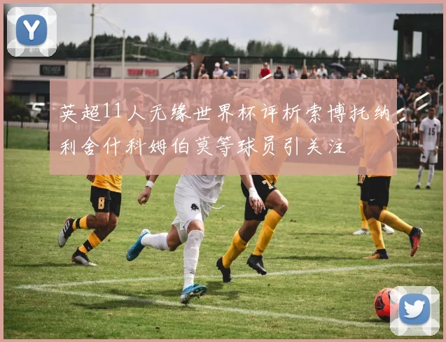 英超11人无缘世界杯评析索博托纳利舍什科姆伯莫等球员引关注